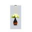 Home Decor and Accessories ef_pc_home0v2762pod00067 in Sri Lanka